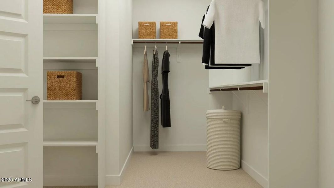 Owners Walk in Closet