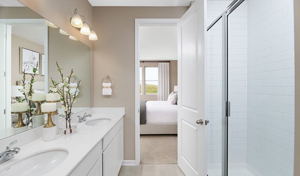 Bronze-E928-Williamsport Bathroom