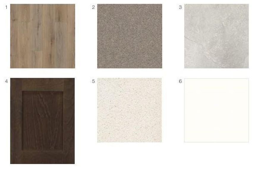 9302 Willowbank Gap Lane design selections! This home is currently under construction and selections are subject to change.