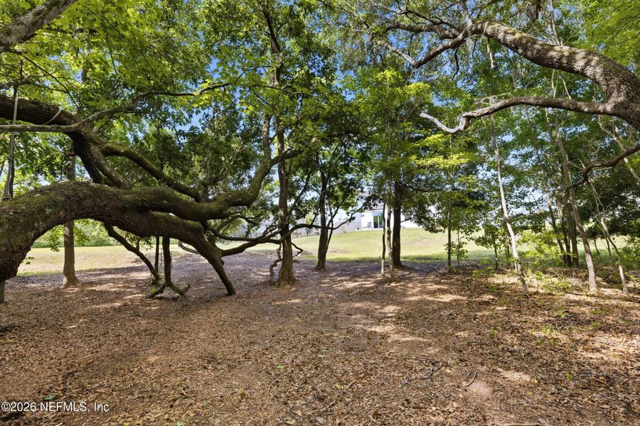 Natural landscape and outdoor views near  in St. Augustine (Image 64).