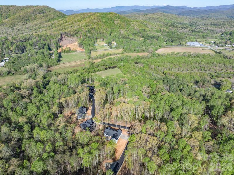 Natural landscape and outdoor views near  in Etowah (Image 24).