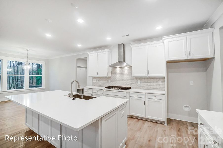 Representative photo