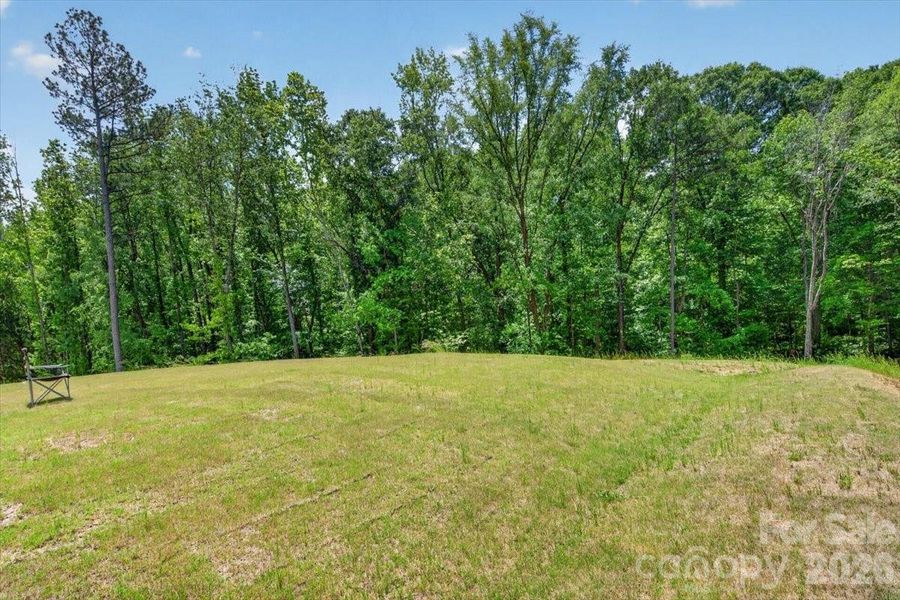 Natural landscape and outdoor views near Walkers Mill in Edgemoor (Image 37). Natural landscape and outdoor views near Walkers Mill in Edgemoor (Image 37).