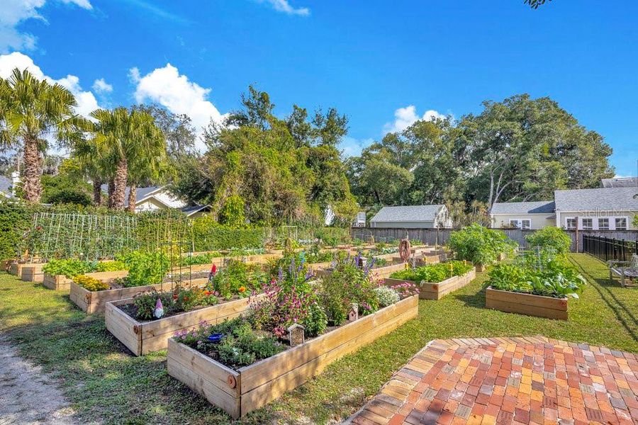 Community amenities in , Orlando (Image 23).