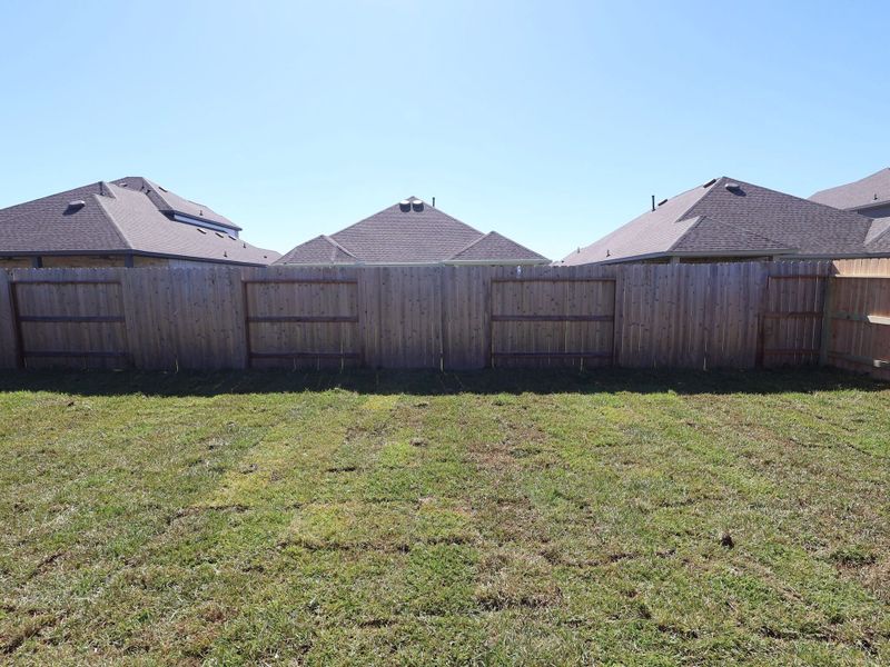 Backyard