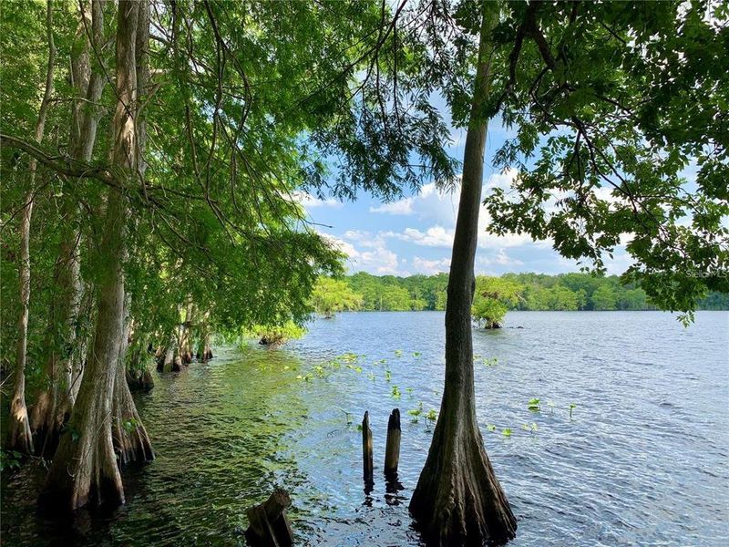 Natural landscape and outdoor views near in Eustis (Image 41). Natural landscape and outdoor views near in Eustis (Image 41).