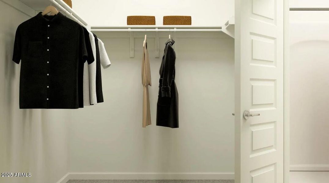 Owners Walk in Closet