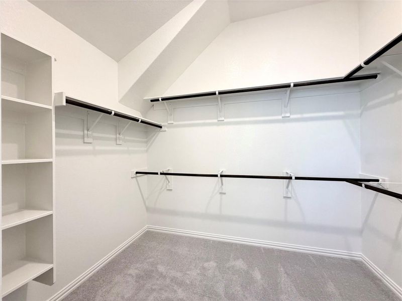 Spacious closet featuring carpet flooring Spacious closet featuring carpet flooring