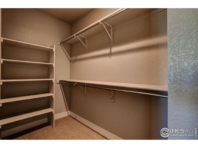 Walk-in closet in basement bedroom