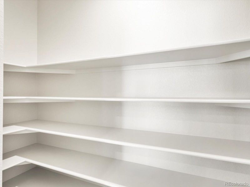 Image 46 of a home in Poudre Heights: The Alpine Collection.