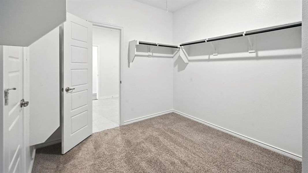 Spacious closet featuring open shelving and hanging rods