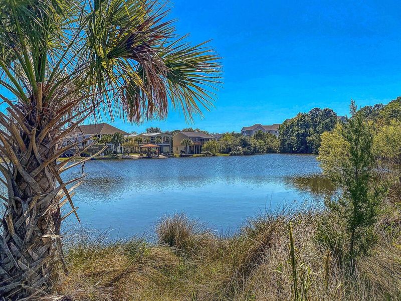 Natural landscape and outdoor views near  in Charleston (Image 31).