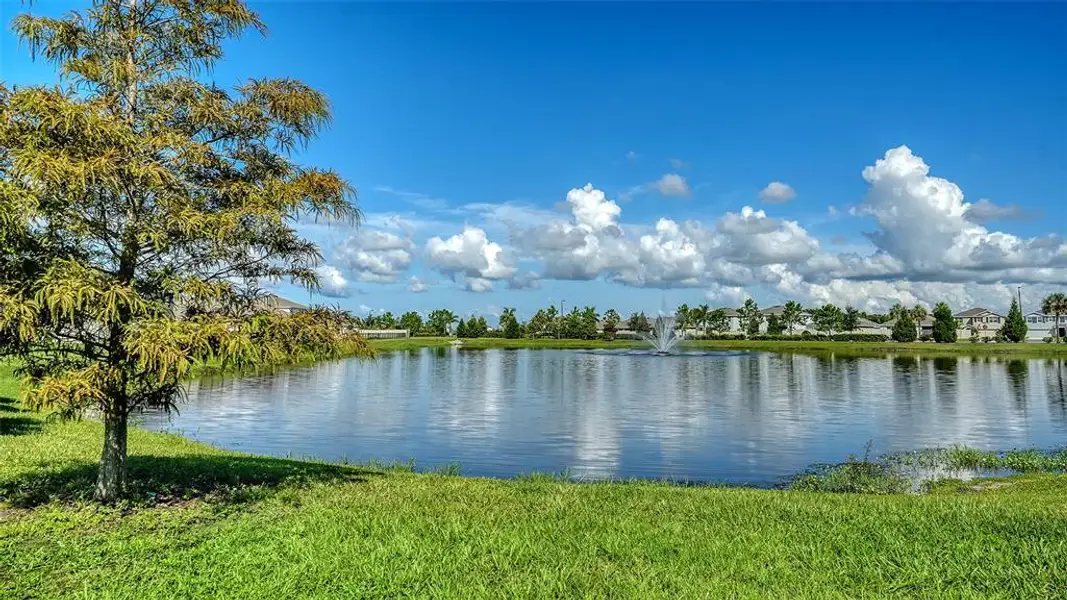 Natural landscape and outdoor views near Bella Lago in Parrish (Image 57). Natural landscape and outdoor views near Bella Lago in Parrish (Image 57).