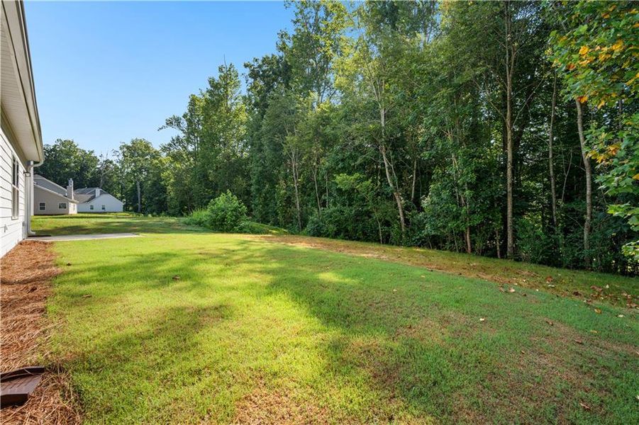Natural landscape and outdoor views near  in Villa Rica (Image 34).