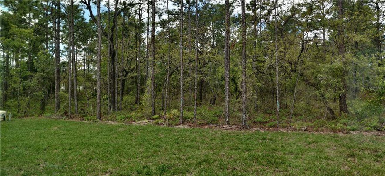 Natural landscape and outdoor views near Royal Highlands in Weeki Wachee (Image 20).
