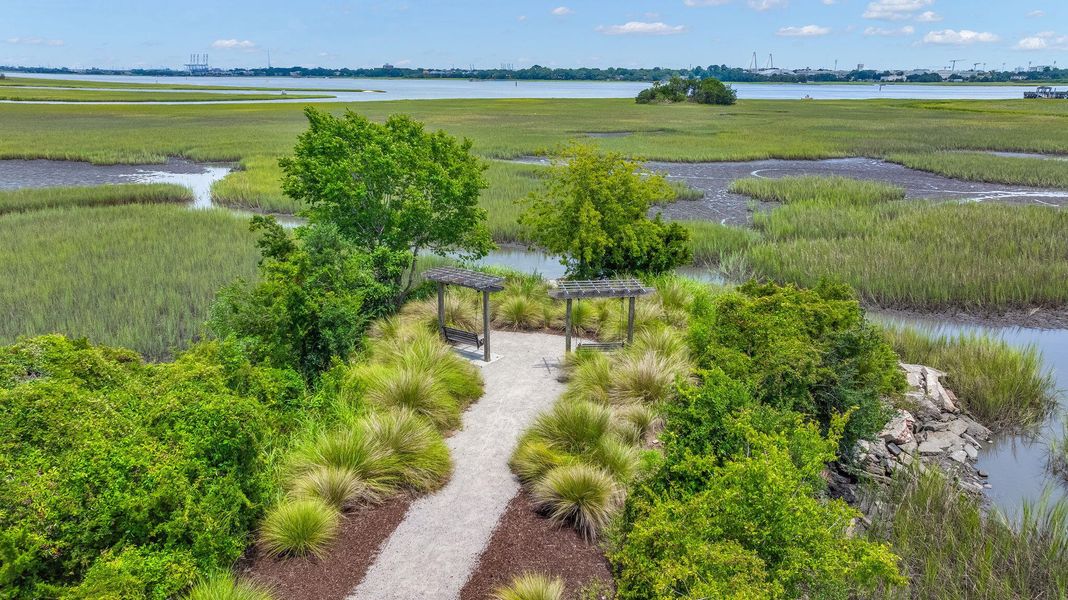 Natural landscape and outdoor views near  in Charleston (Image 42).