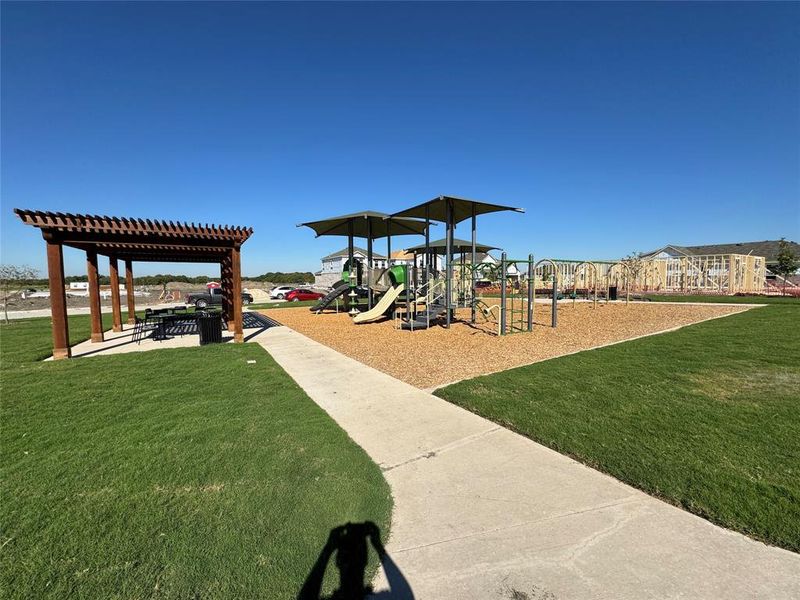 Community Playground *Model Representation*