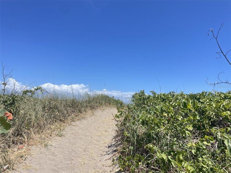 Natural landscape and outdoor views near  in Fort Pierce (Image 30).