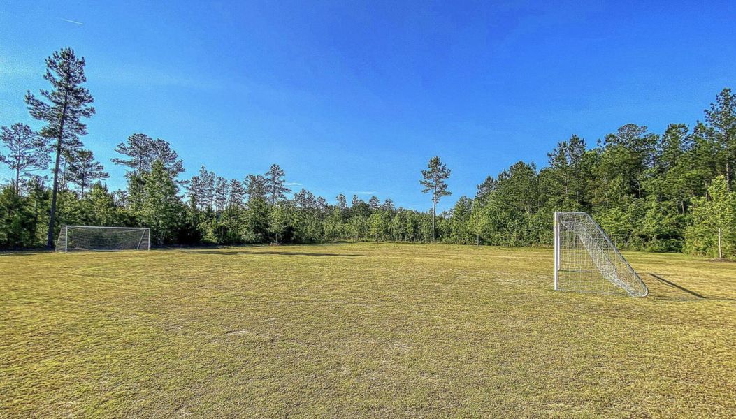 Natural landscape and outdoor views near  in Summerville (Image 48).