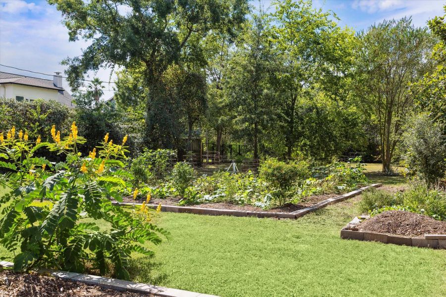 Framed by a handcrafted sign and lush vines, the garden is a perfect example of the area’s strongcommitment to sustainability, education, and community engagement. Whether you’re a seasoned gardeneror simply enjoy green spaces, this garden adds warmth, character, and a unique sense of neighborhoodpride to the area.