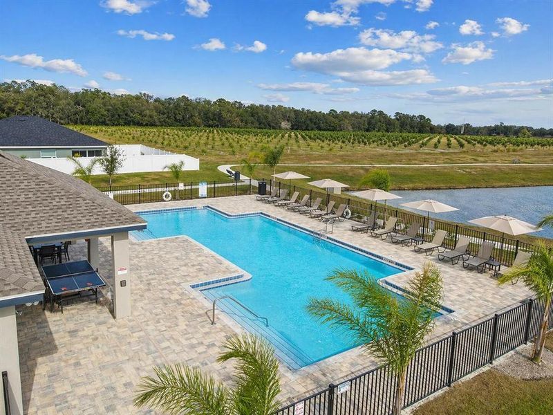 Community amenities in Eagle Hammock, Eagle Lake (Image 38).