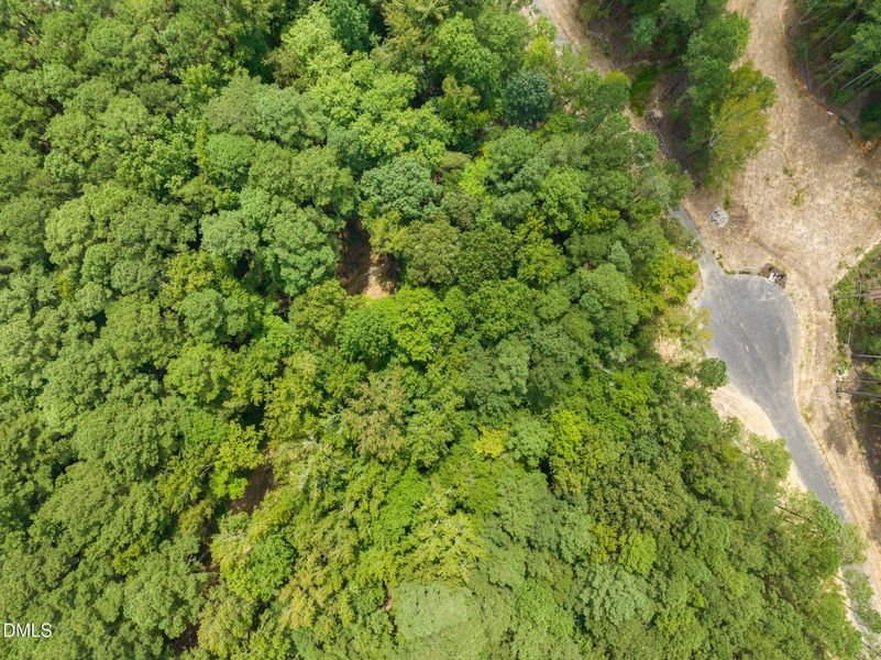 6-web-or-mls-untitled-6 6-web-or-mls-untitled-6