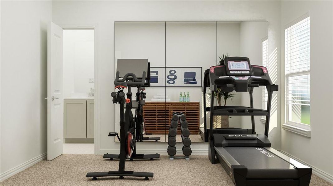 Exercise area featuring light colored carpet and plenty of natural light