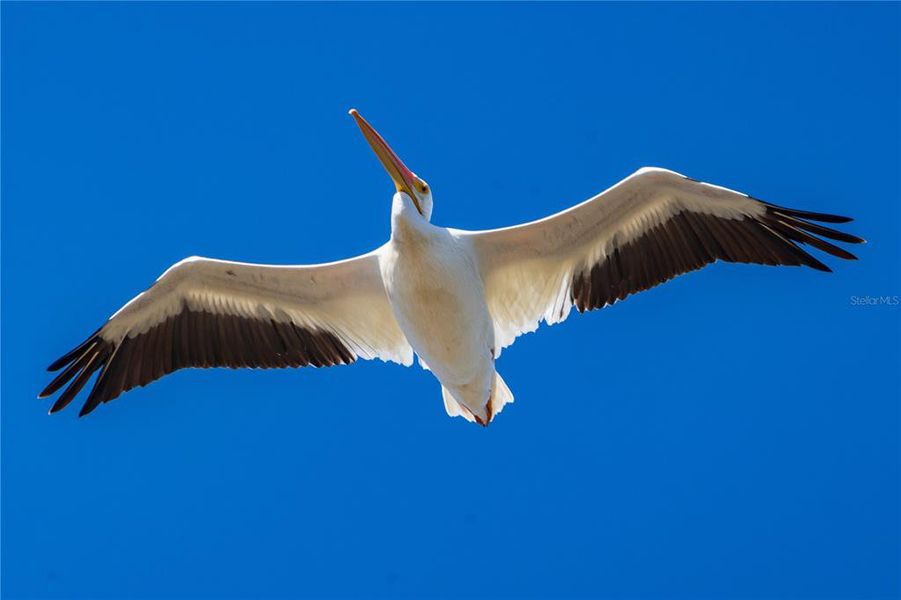 Image 57 of a home in . Image 57 of a home in .