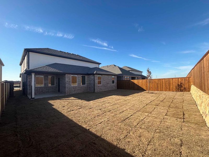 Rear Exterior Design Construction Progress