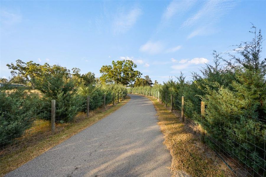 Natural landscape and outdoor views near in Alachua (Image 50). Natural landscape and outdoor views near in Alachua (Image 50).