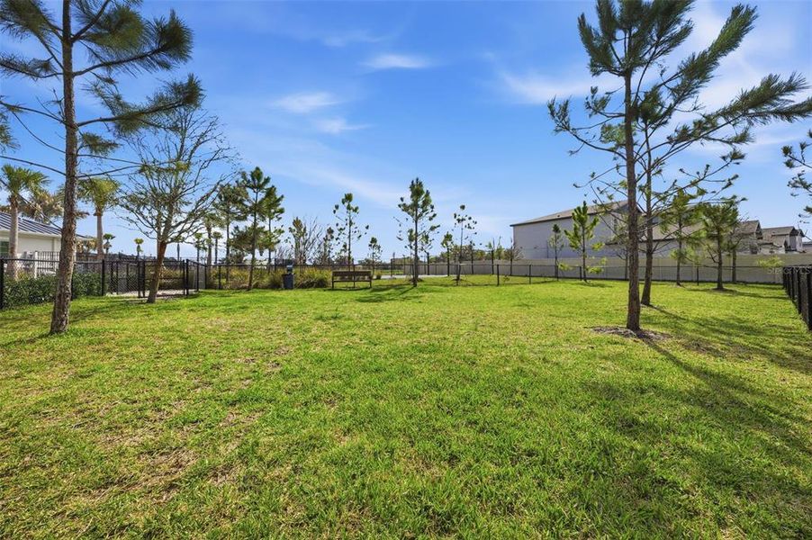Natural landscape and outdoor views near  in Plant City (Image 52).