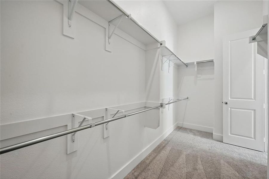 4289SantuaryROYCA017