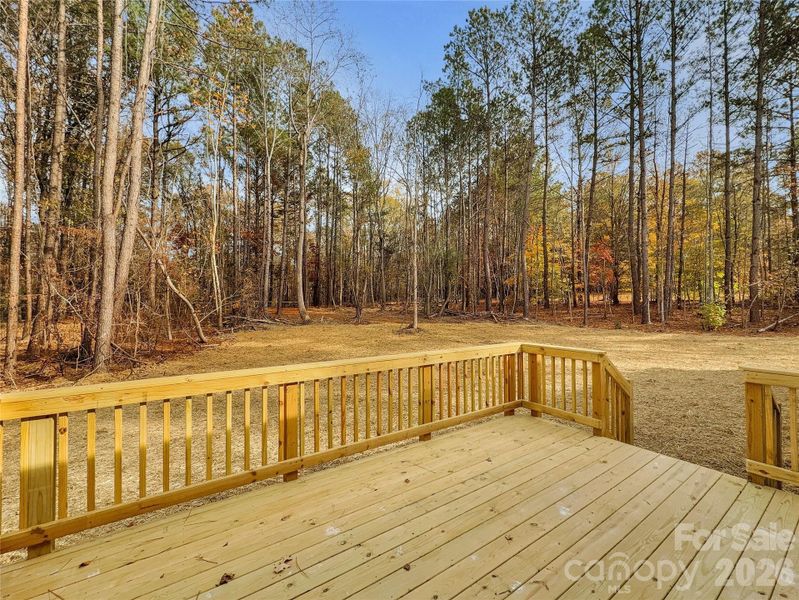 Large deck overlooking the wooded back yard Large deck overlooking the wooded back yard