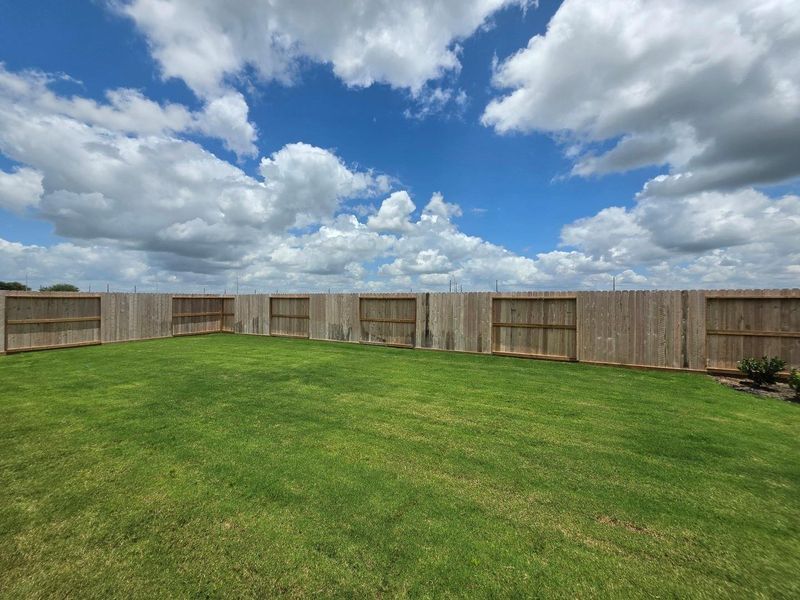 Spacious Backyard