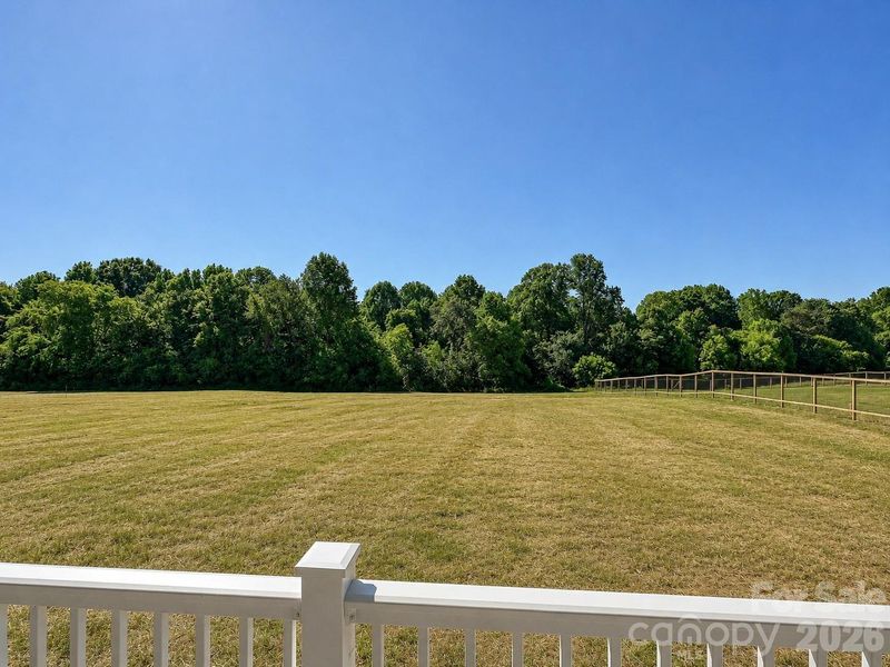 Expansive backyard offers plenty of open green space and serene tree-lined views, creating the perfect setting for outdoor entertaining or relaxation. (Concept grass)