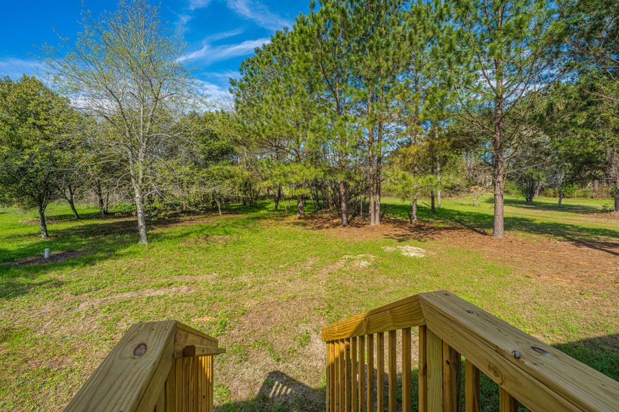 Natural landscape and outdoor views near  in Eutawville (Image 44).