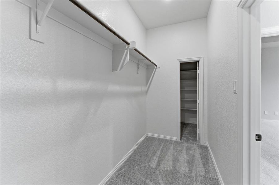Walk in closet with light carpet