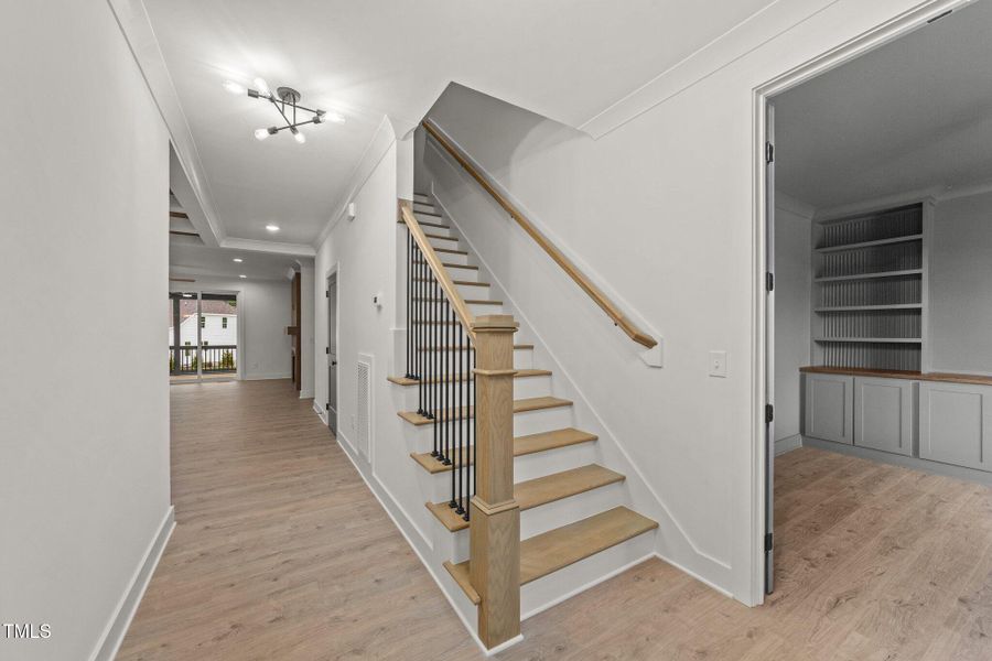 22-web-or-mls-VB4A0093