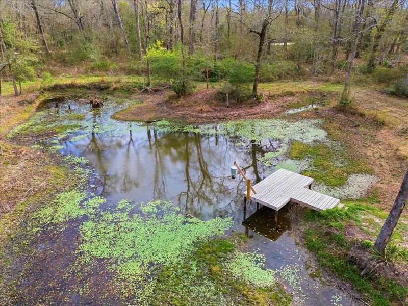 Natural landscape and outdoor views near  in Dayton (Image 28).