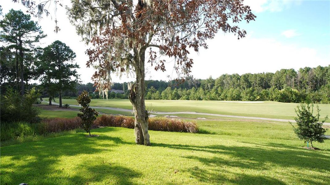 Natural landscape and outdoor views near Southern Hills in Brooksville (Image 6). Natural landscape and outdoor views near Southern Hills in Brooksville (Image 6).