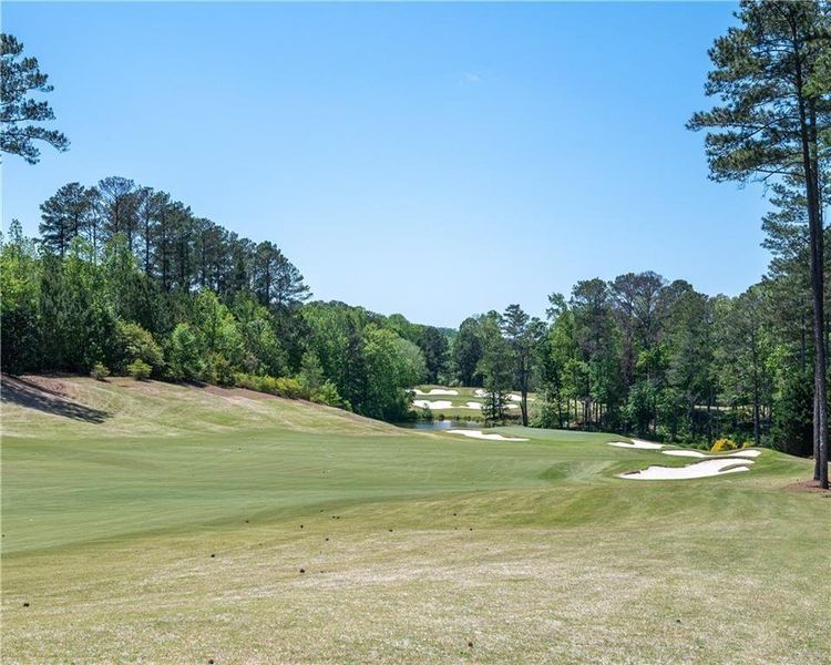 Natural landscape and outdoor views near  in Alpharetta (Image 26).