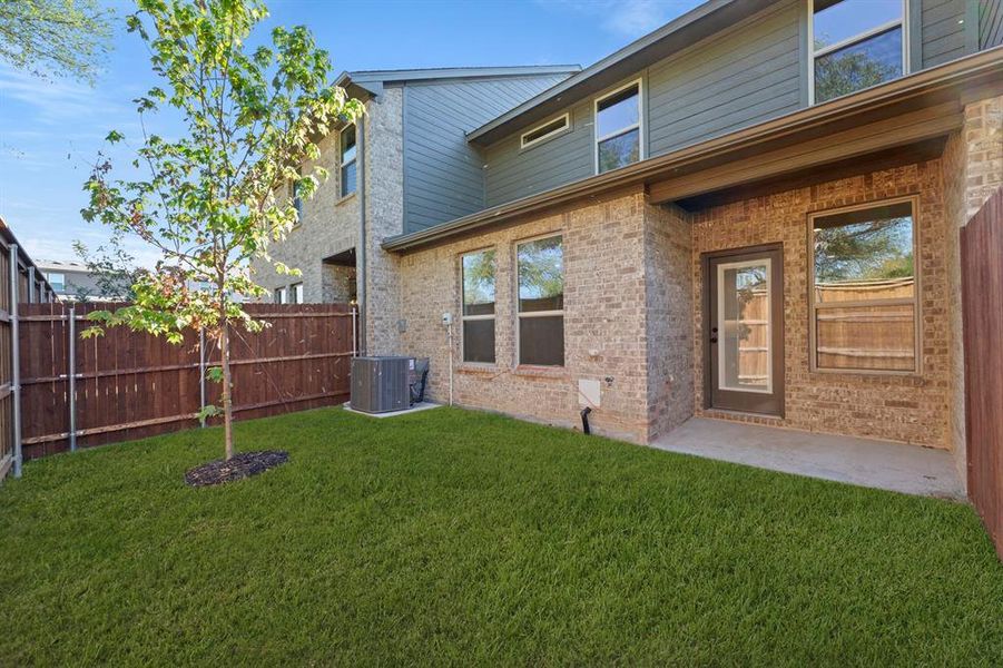 26. 6945 Mustang - Back 26. 6945 Mustang - Back