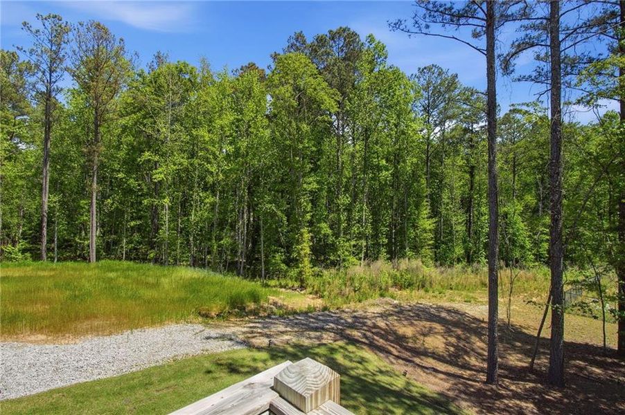 Natural landscape and outdoor views near  in Newnan (Image 76).