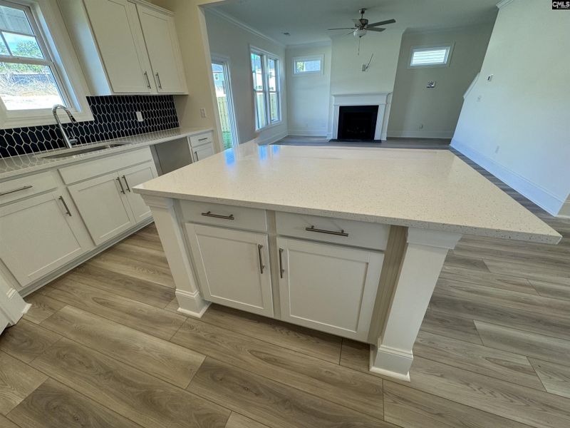 Furnished interior view inside a new home in Boykin Hills, Chapin (Image 6). Furnished interior view inside a new home in Boykin Hills, Chapin (Image 6).