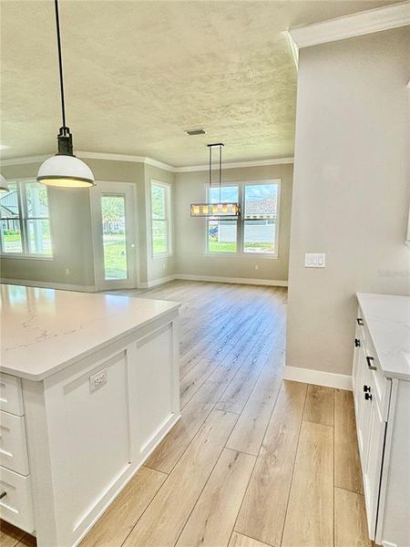 Furnished interior view inside a new home in , High Springs (Image 8).