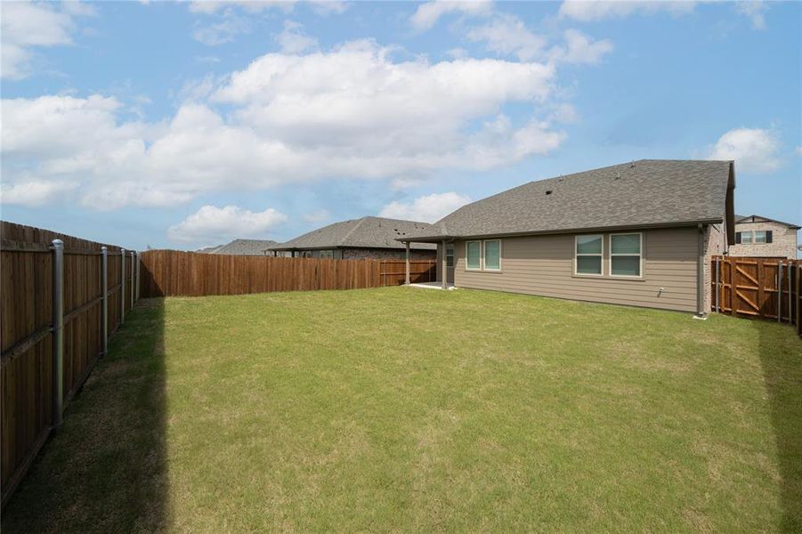 Backyard Backyard