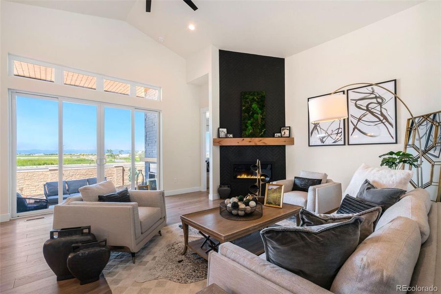 Vaulted Ceiling in Living Room with Linear Gas Fireplace!