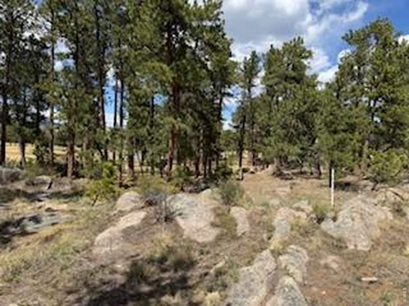 Natural landscape and outdoor views near  in Red Feather Lakes (Image 39).