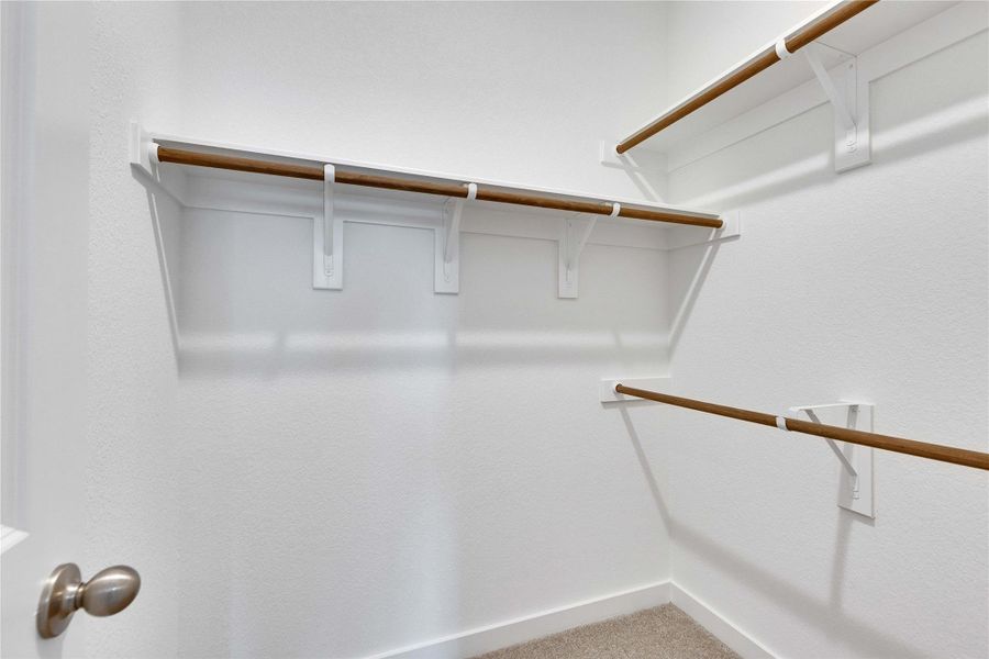 Spacious closet with carpet Spacious closet with carpet