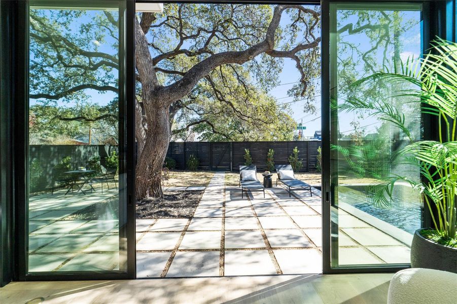 Amazing heritage oak trees add ambiance to the outdoor living space